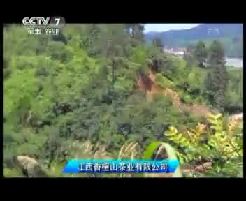 香檀山 2012.9.1
