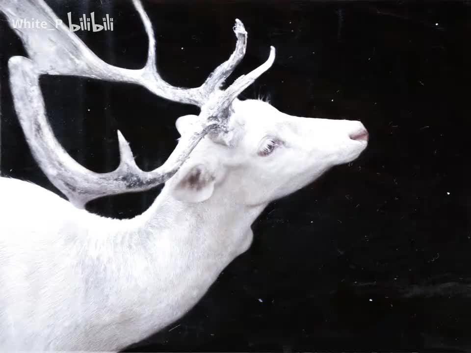 夜晚