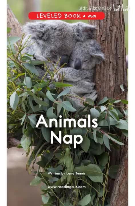19-【019】Animals Nap