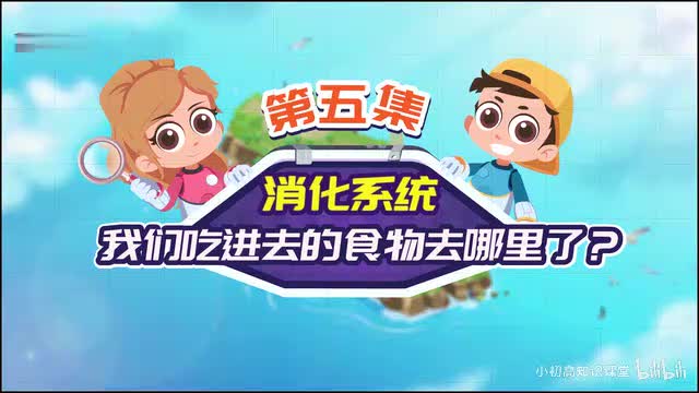 第5节：我们吃进去的食物去哪里了