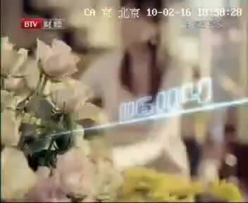 tvcimage.meihua.infompeg20100226112945_AAE0.mp4
