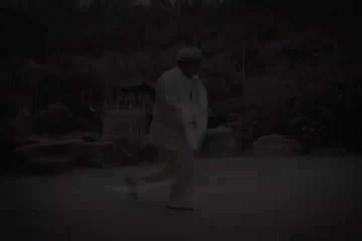 杨式太极拳85式-0演练