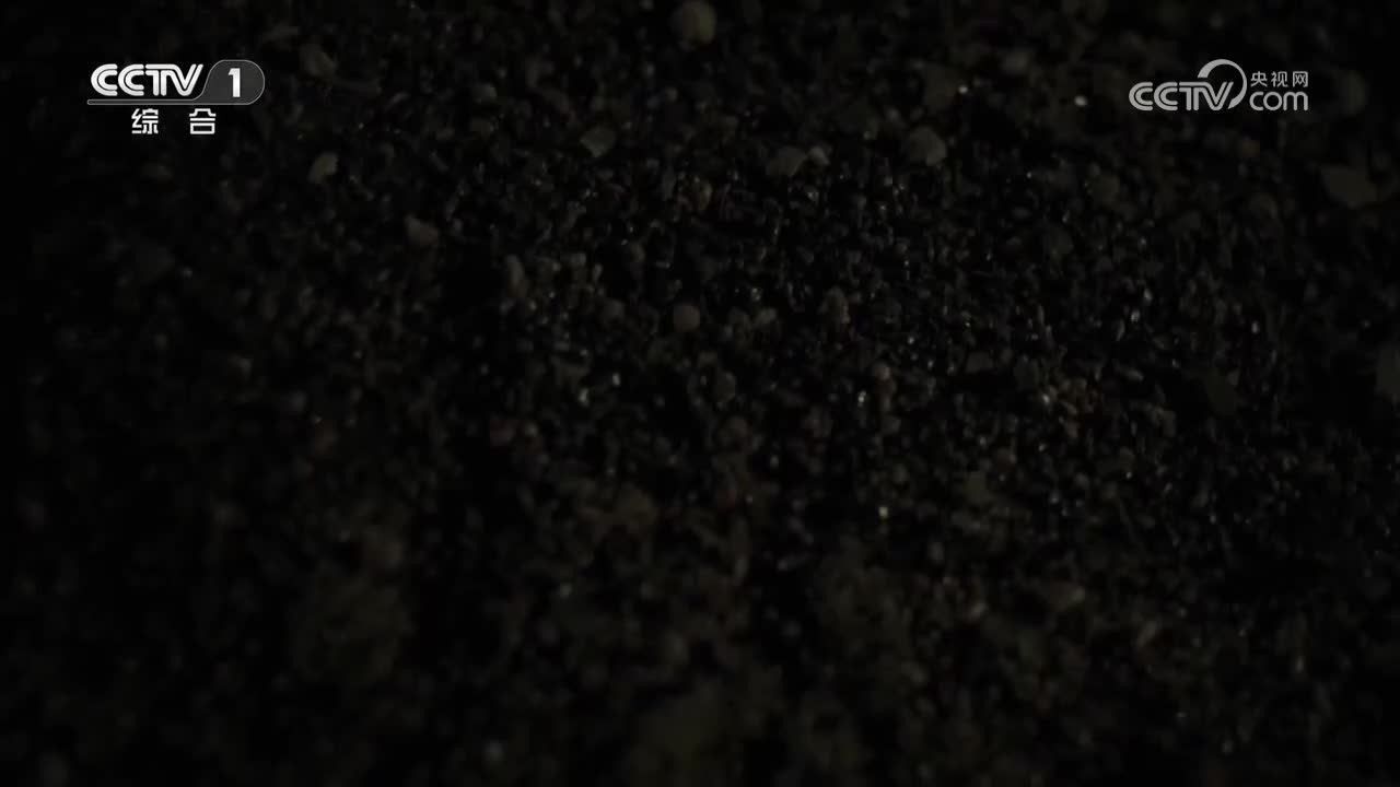 第5集 无处不在的号角