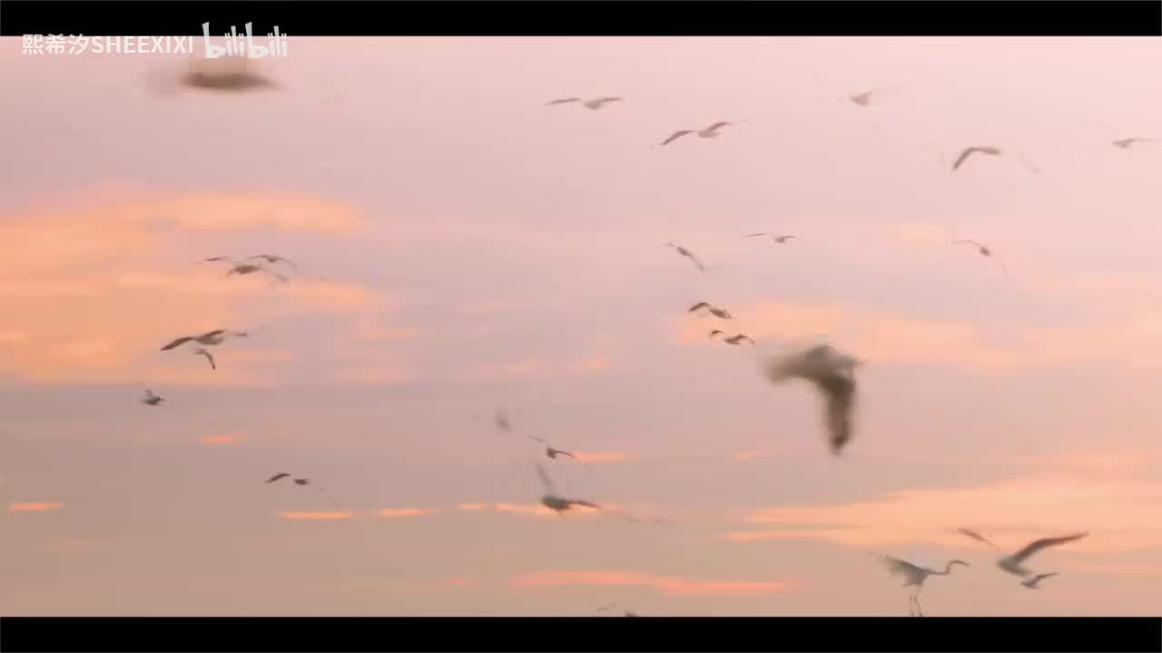 Write you again 重新书写爱 singtokrist