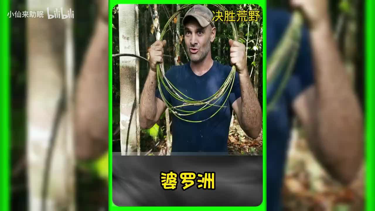 德爷决胜荒野第一季全_20250605_112657