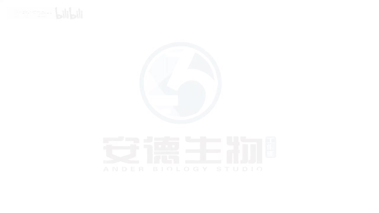 16.自由组合定律和分解组合法