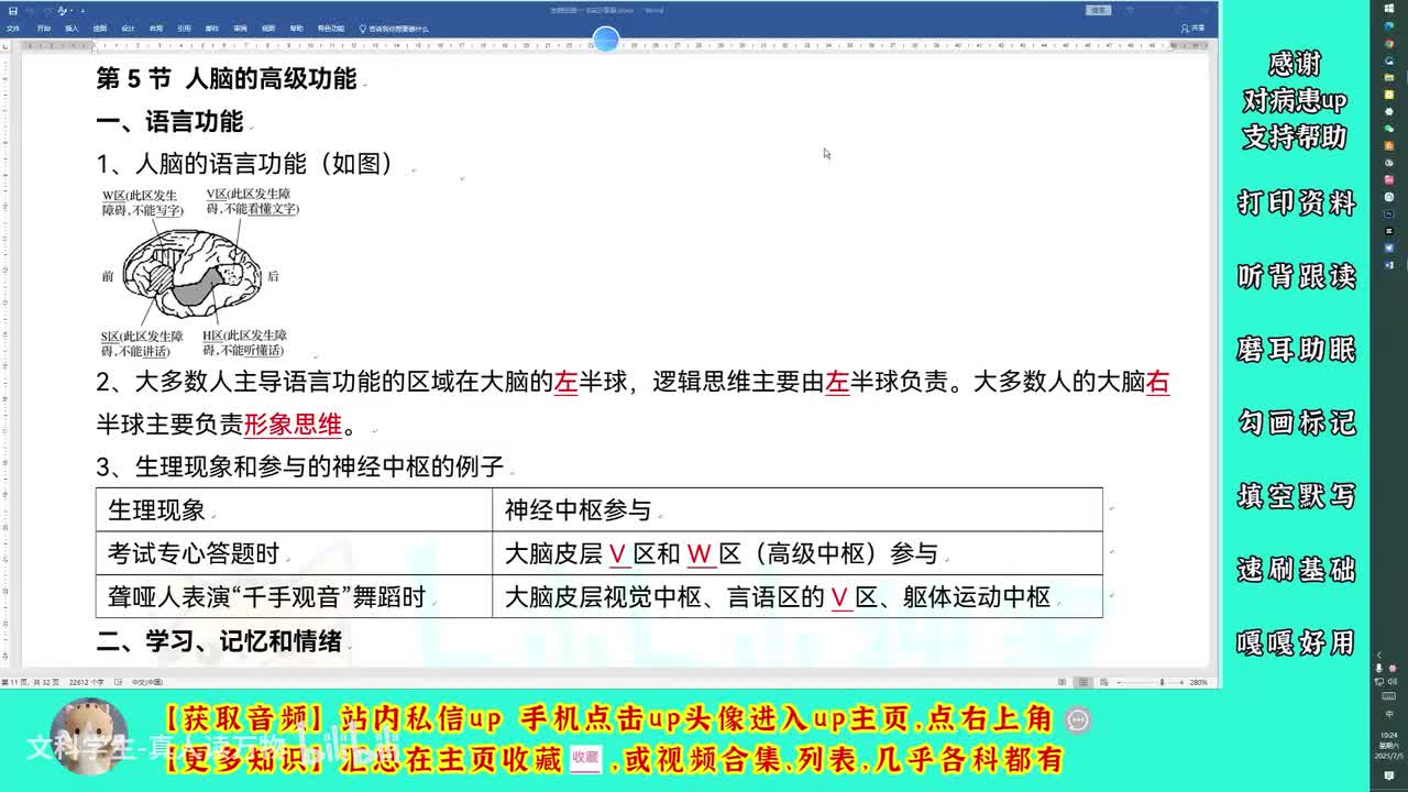 2.5人脑的高级功能