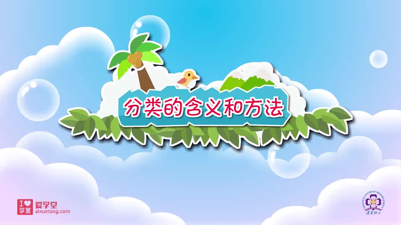 13.分类的含义和方法