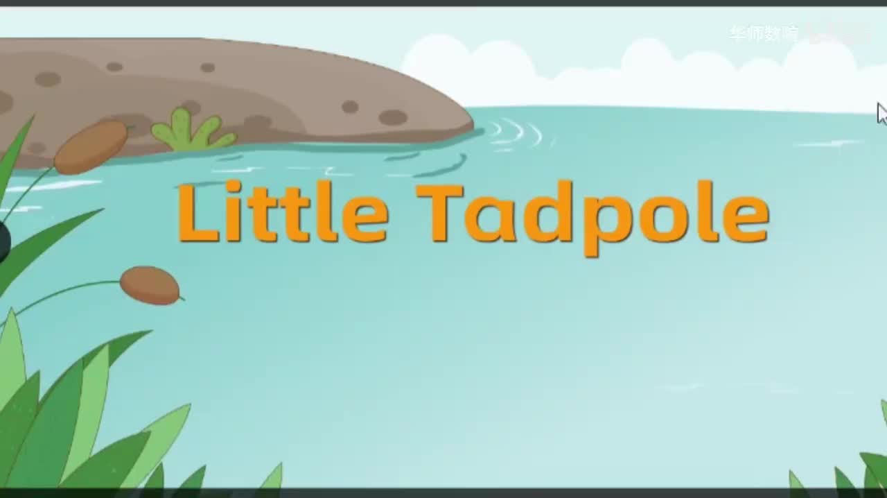 Unit6 P44-46 story动画