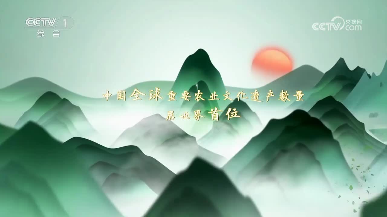 第14集 河北宽城传统板栗栽培系统