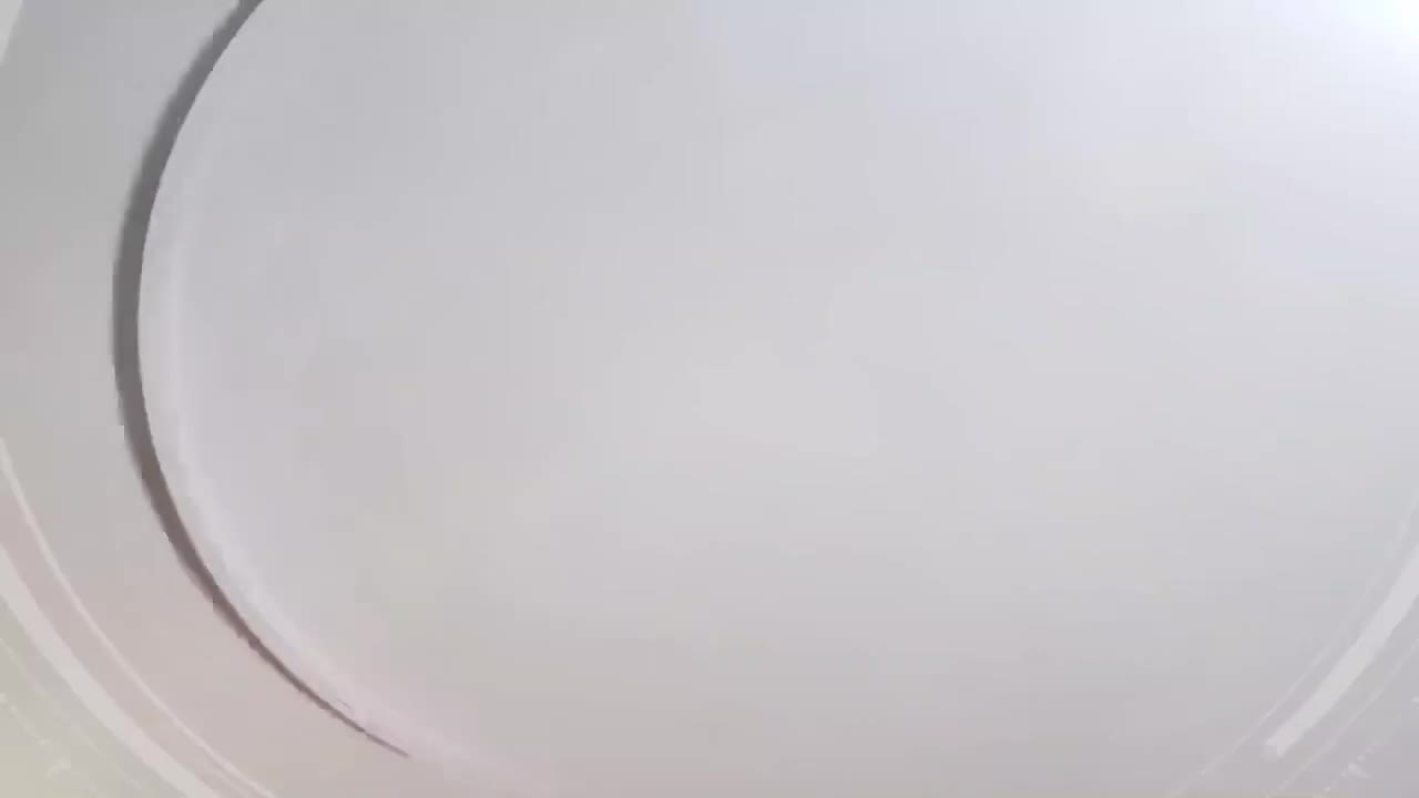 03--三相异步电动机的初步认识任务分析