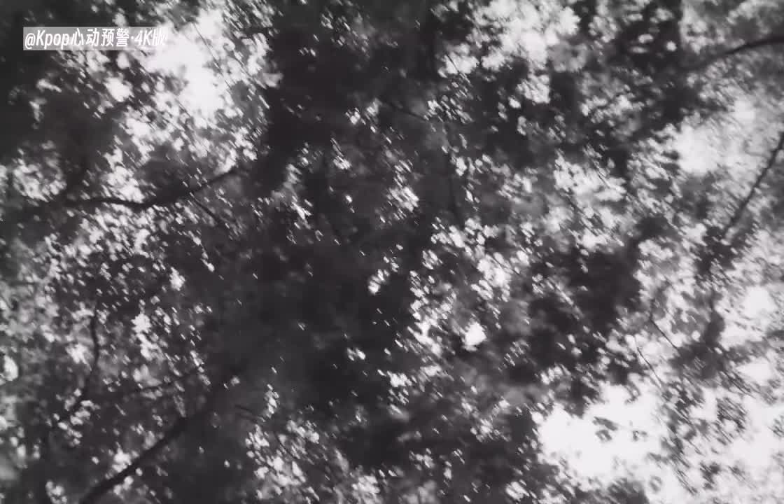 【中字4K】MV