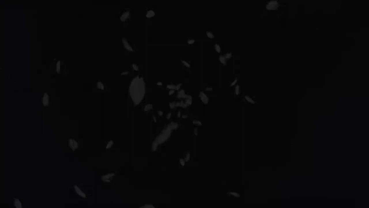 第10夜 黑暗公主