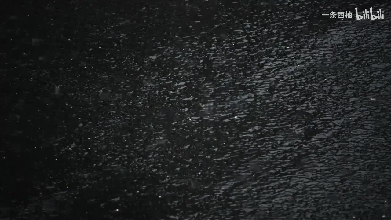 雨中氛围感 (63)