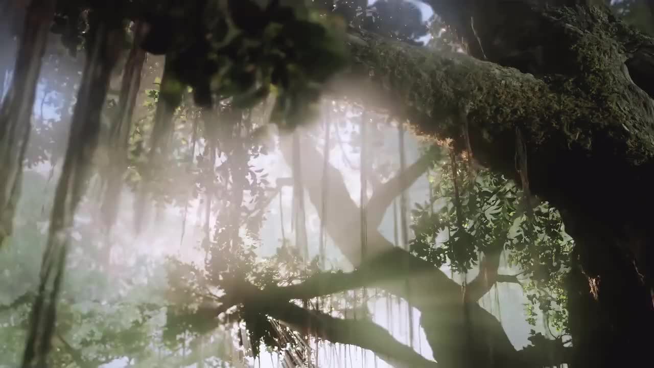 【11】【4K】明月逐君来第十一章（修改）