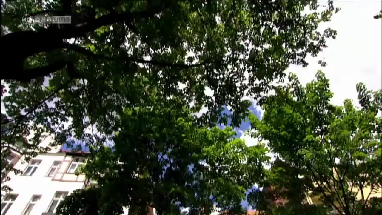 Türkisch für Anfänger (Season 2 Episode 15) Watch German TV series (German Subti