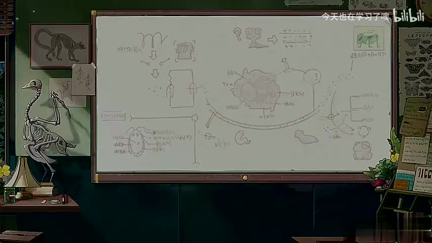 28-13-13 细胞核的结构和功能