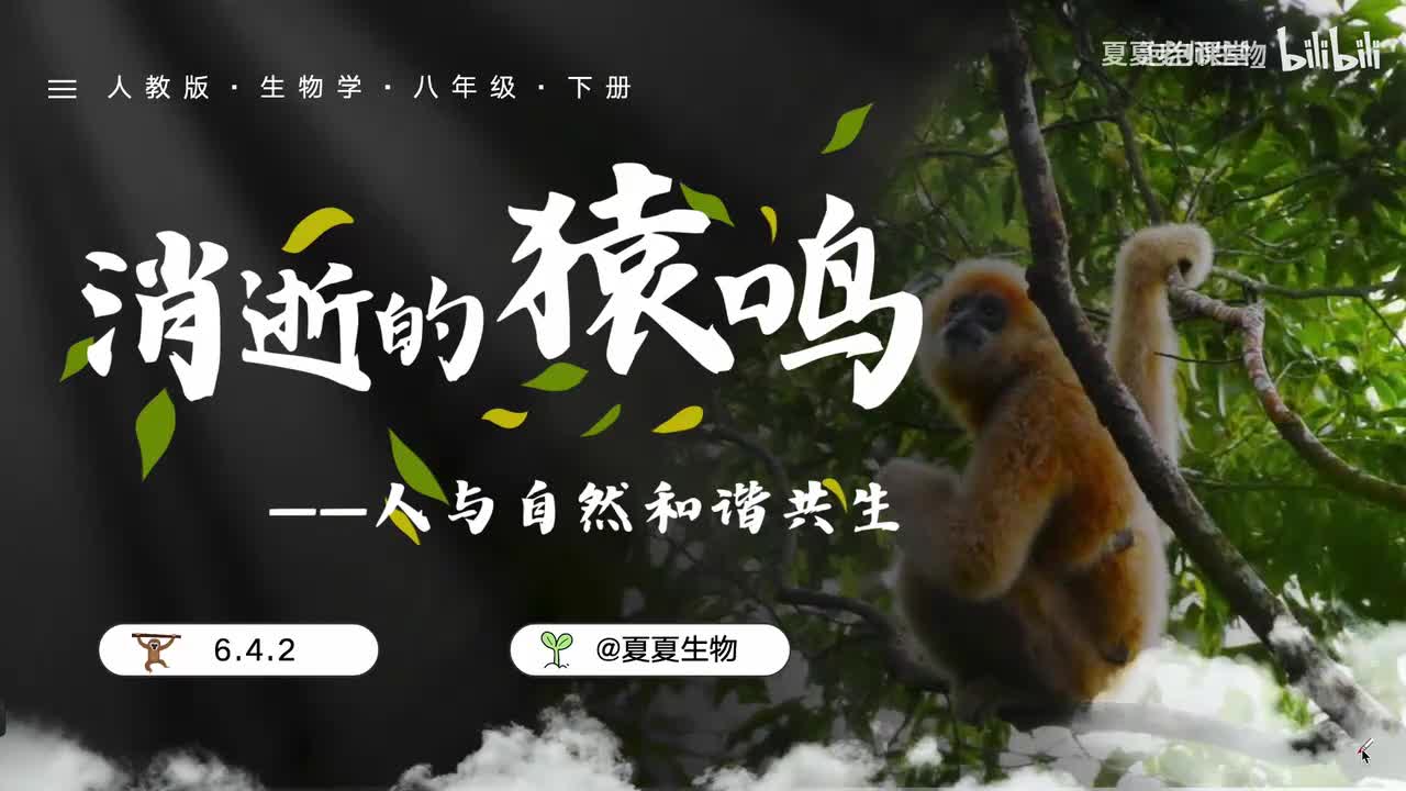 【夏夏老师生物】6.4.2 《人与自然和谐共生》，跟着夏夏学生物，学完轻松98！