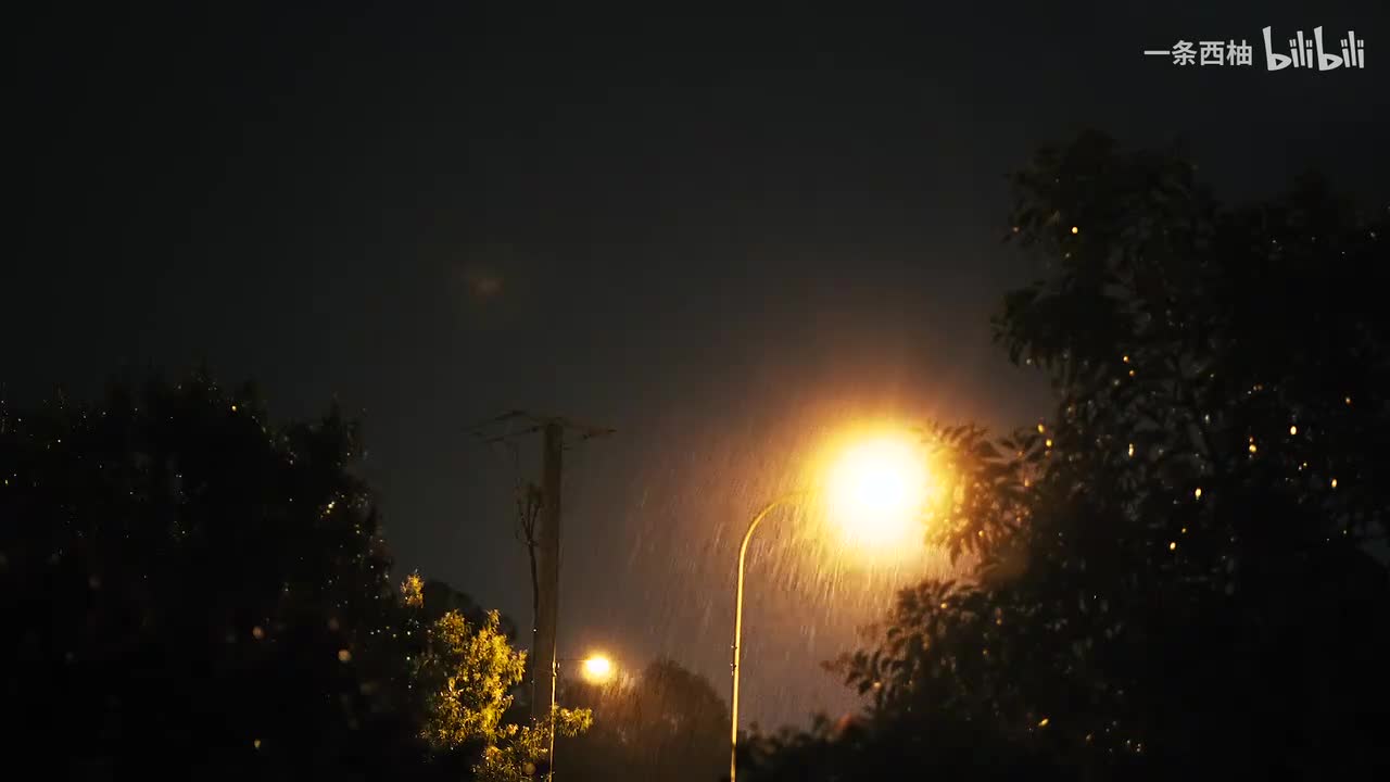 雨中氛围感 (49)