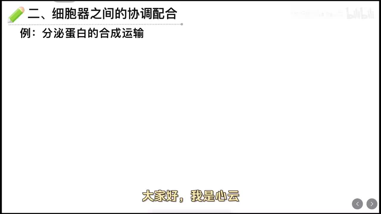 3.2 细胞器（第二课时）