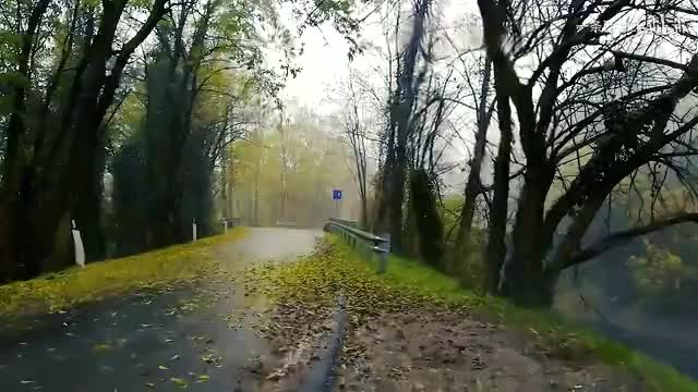 雨中氛围感 (71)