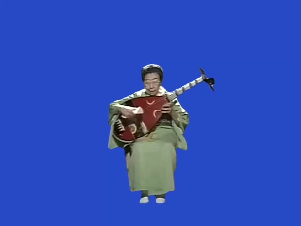 琵琶(2)