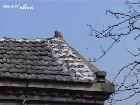 民间小调《过门三天打公公》05 李发东 薛小香 荆献鼎 荆桂勤 荆献顺 刘梅 荆丽君 曹四臣