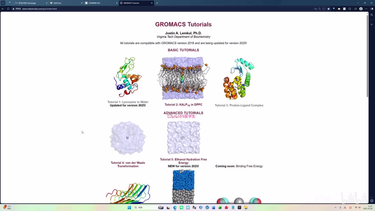 P1复合物3D结构文件准备