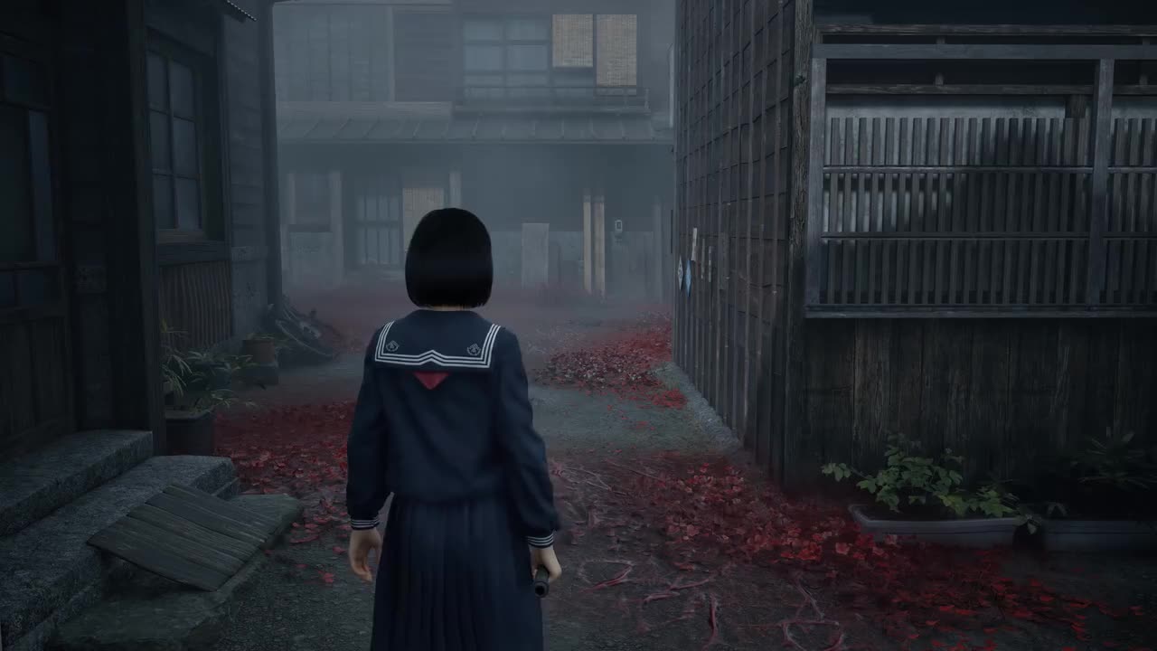 3-被遗弃的旧神-千年杉树