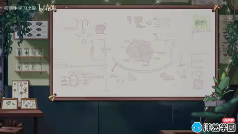 6 神经调节与体液调节的关系