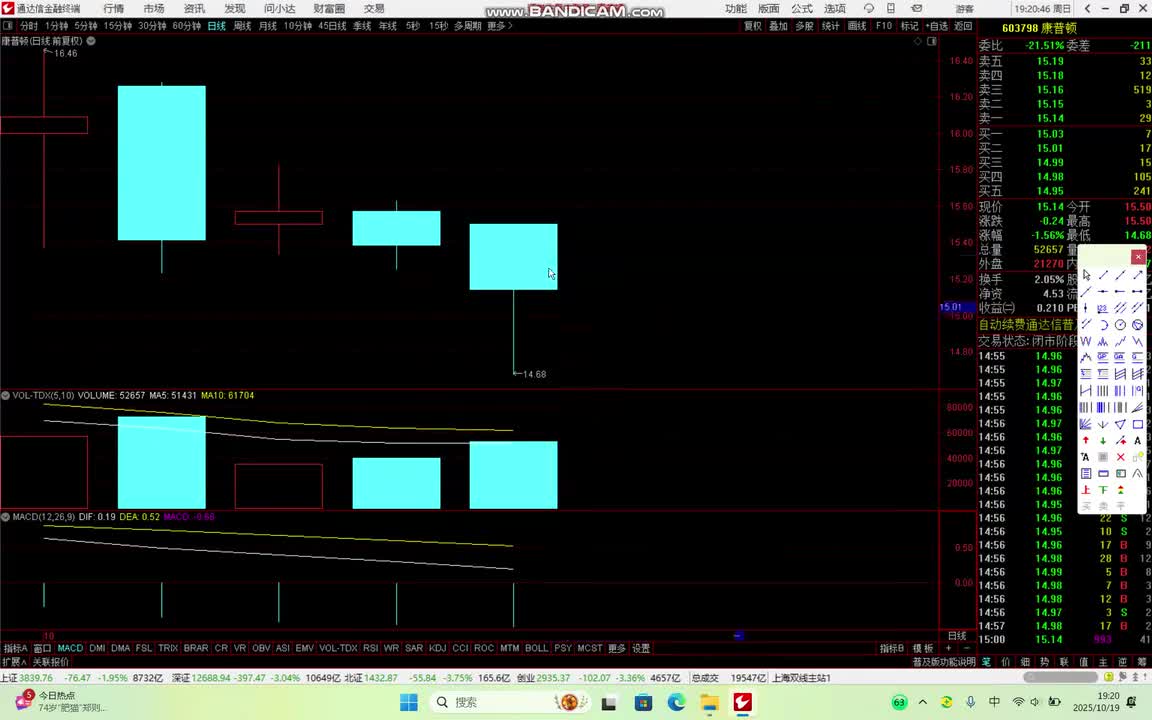 我不是股神之陪你从新娘走到黄脸婆-2
