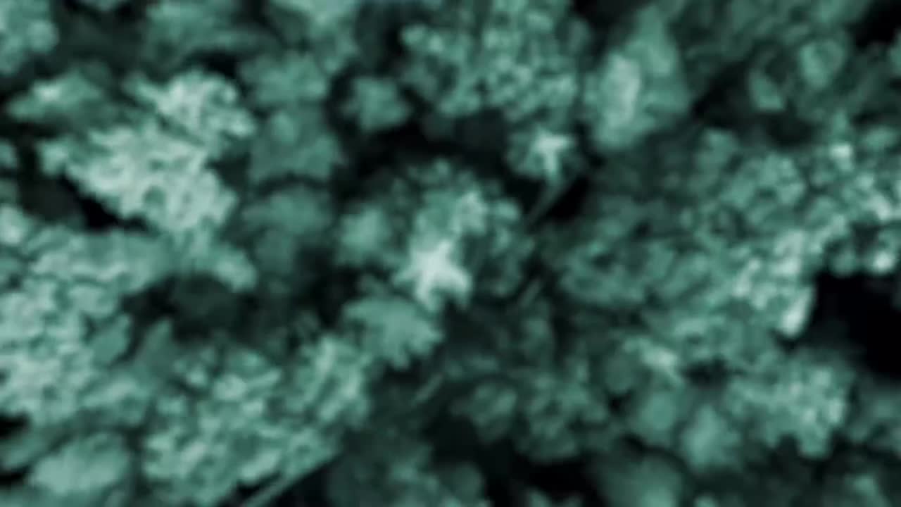 第2集：临水而居