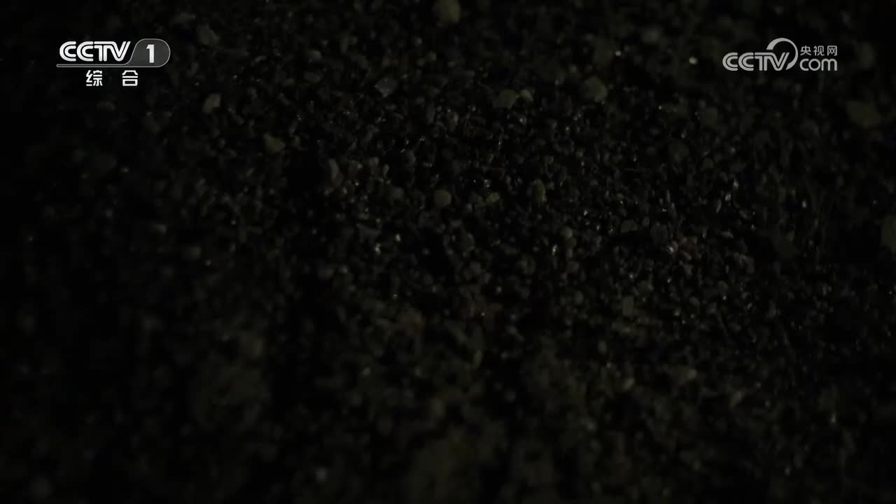 【第1集】历史深处的回响