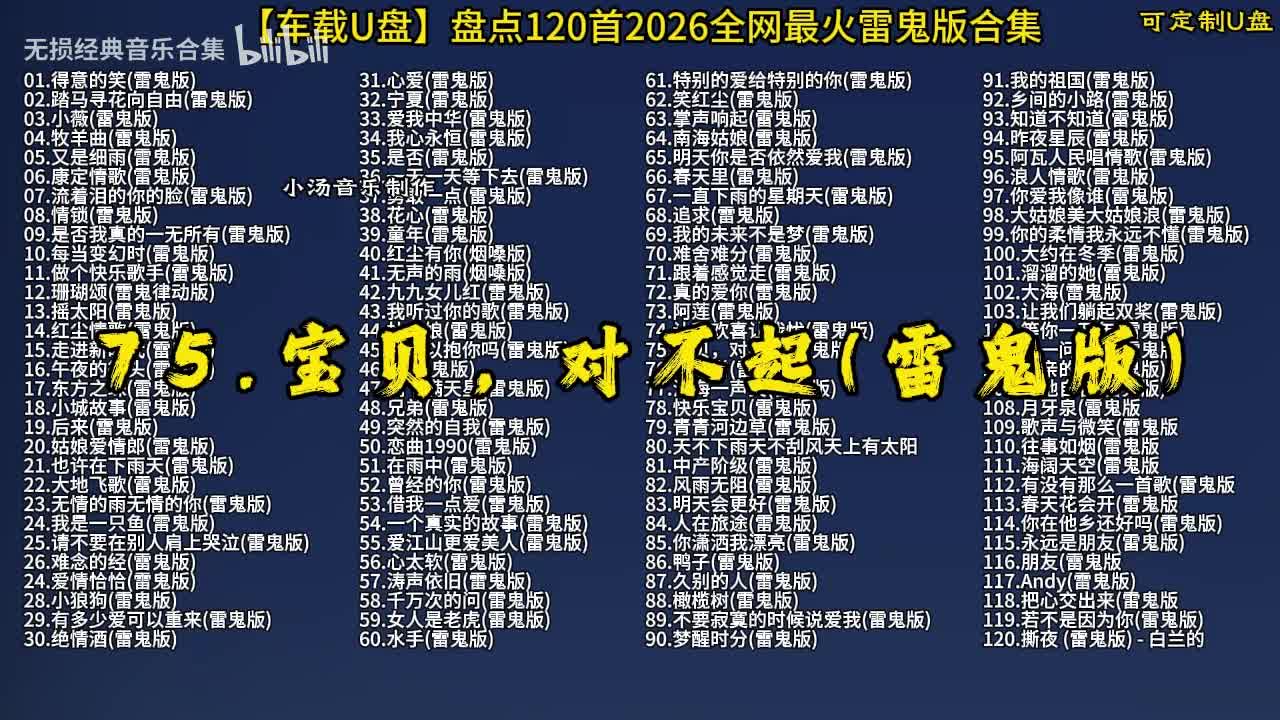 100首抖音热门 (76)