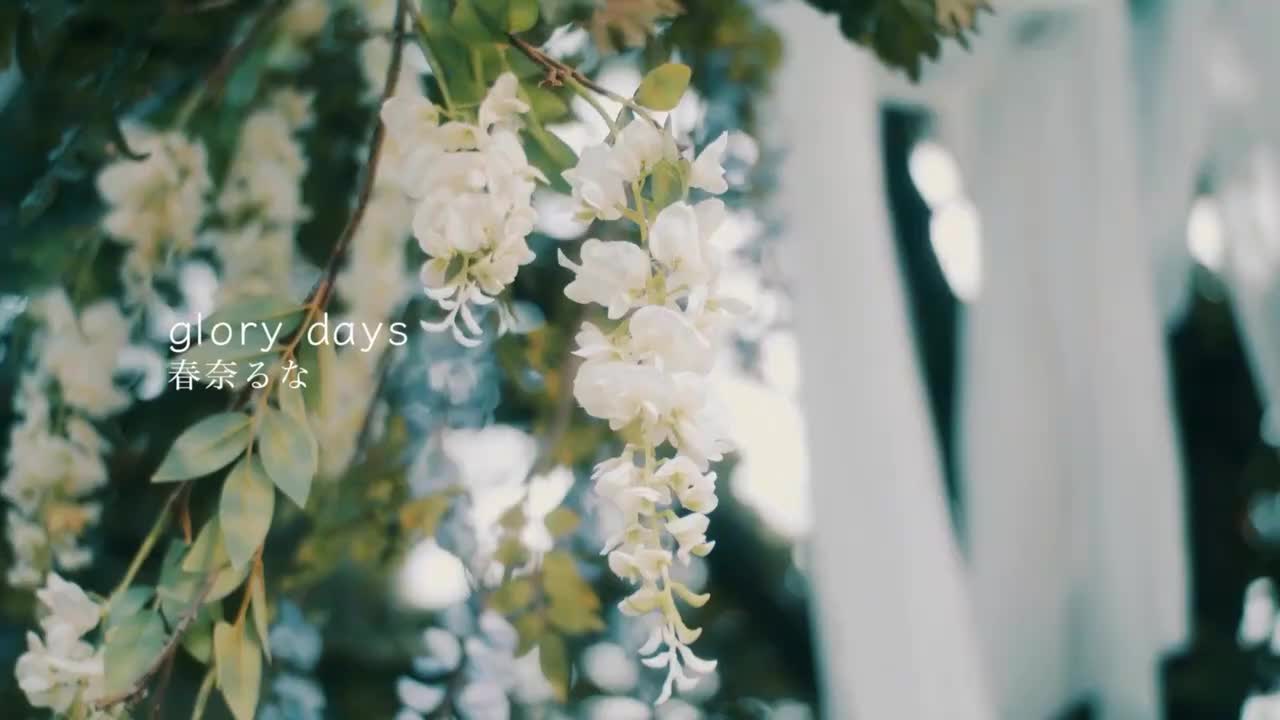 2019 10 23 glory days