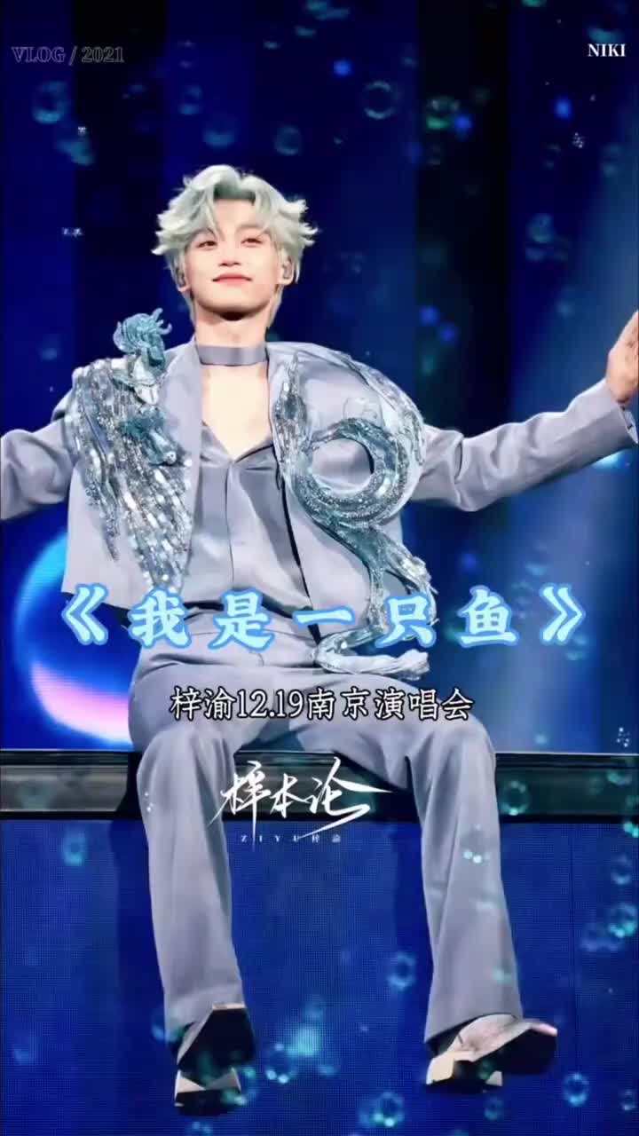 《我是一只鱼》正面cr.梓本论