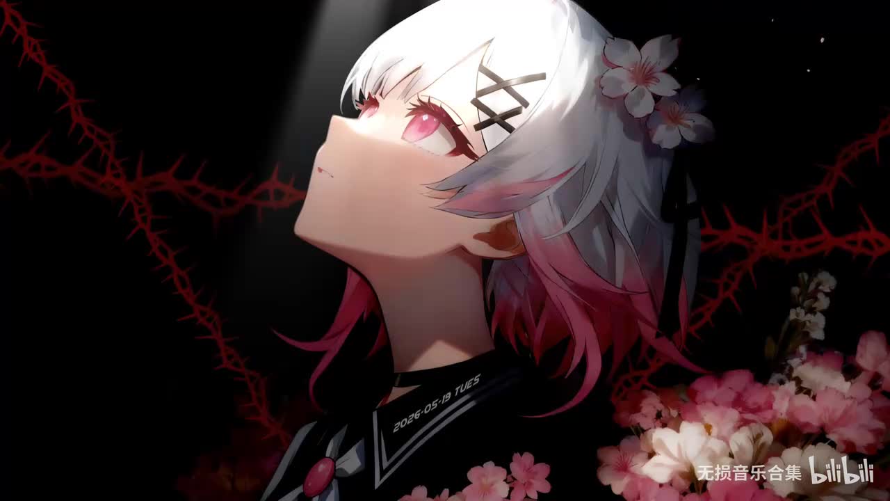 月亮惹的祸 - 张宇