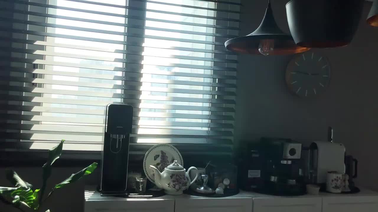 5.在家一起学习心理学 | 和我一起学习