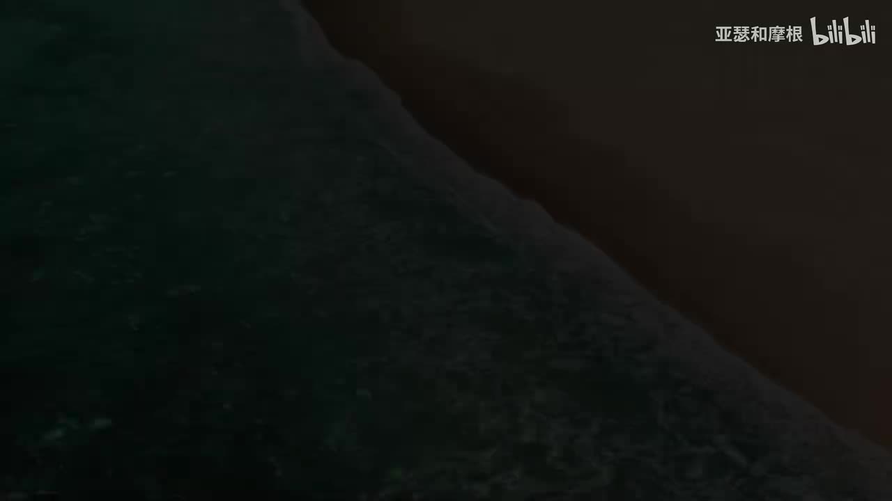 10.芭比之森林公主（2007）