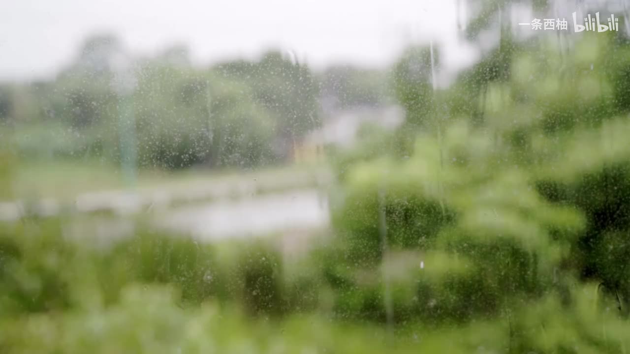 雨中氛围感 (17)