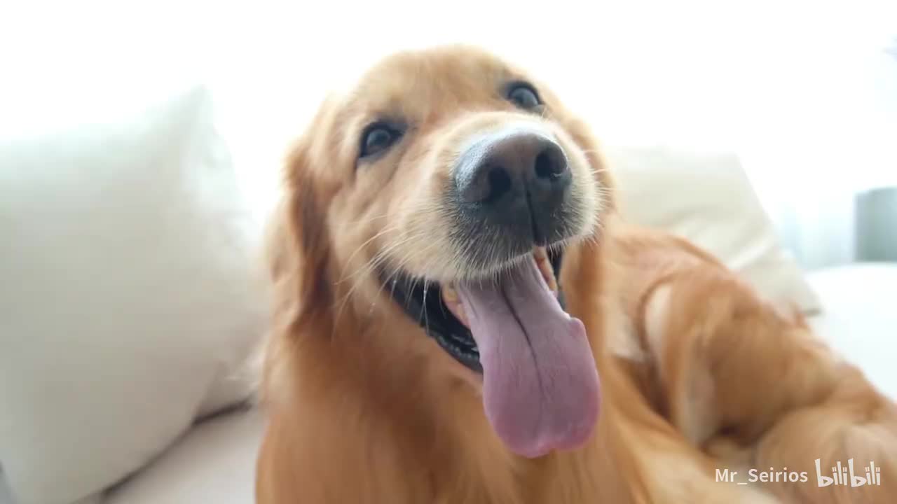 请移步至正片一P