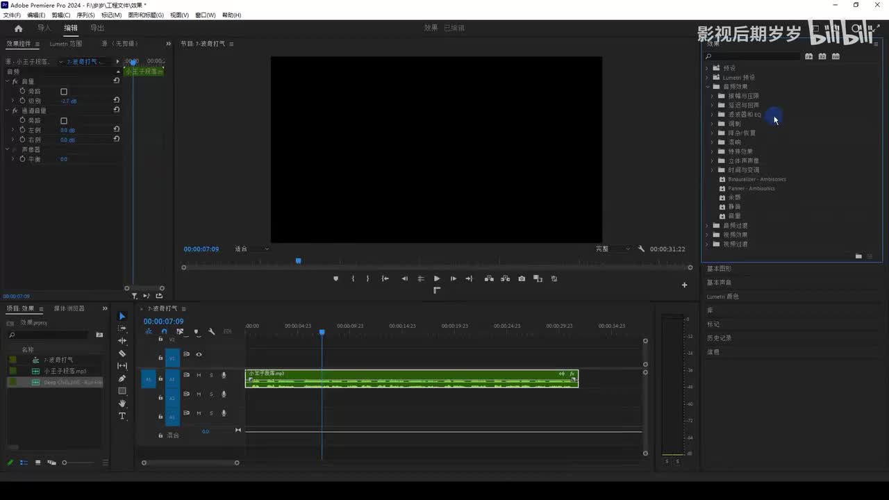 零基础学剪辑-进阶篇：22.混响、宽度、变调
