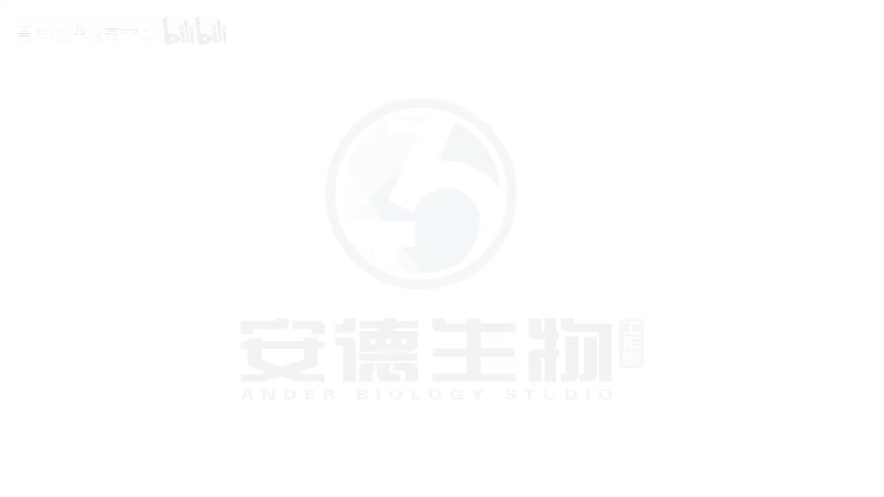 37.生态系统的功能