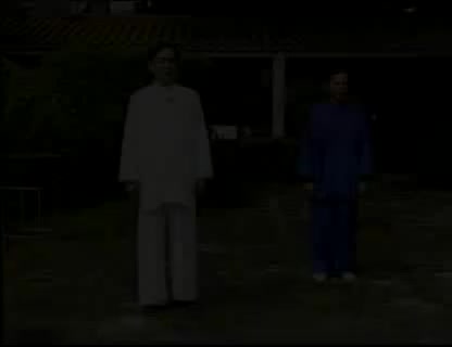 杨氏太极85式动作分解5