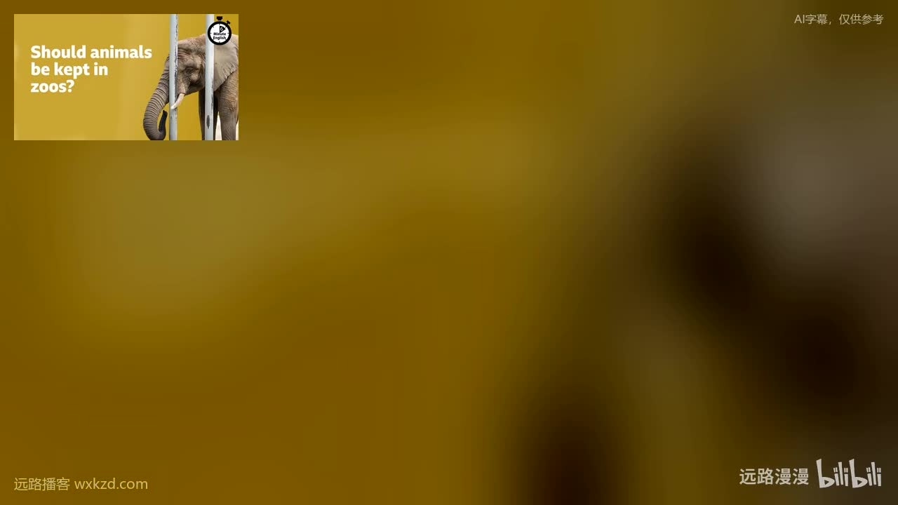 250508 - Should animals be kept in zoos?