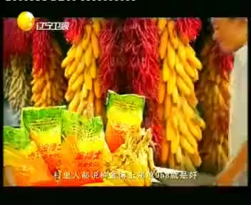 tvcimage.meihua.infompeg20100222112459_D70E.mp4