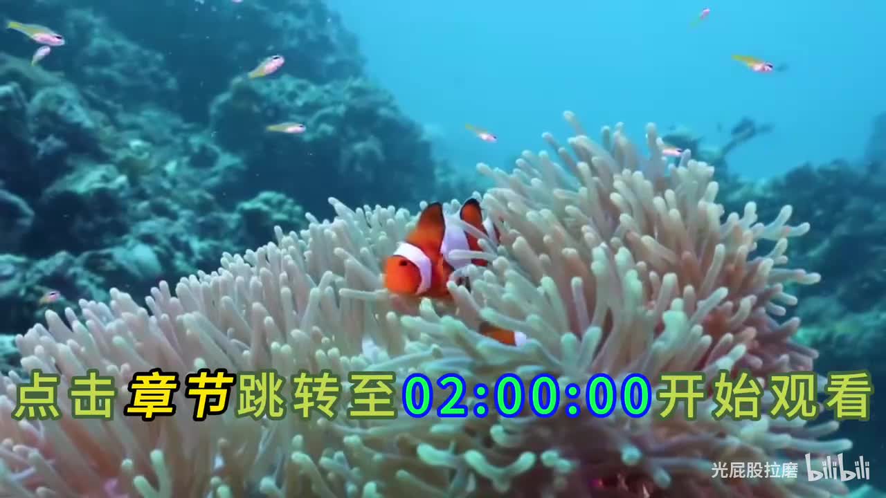 -多多关注-