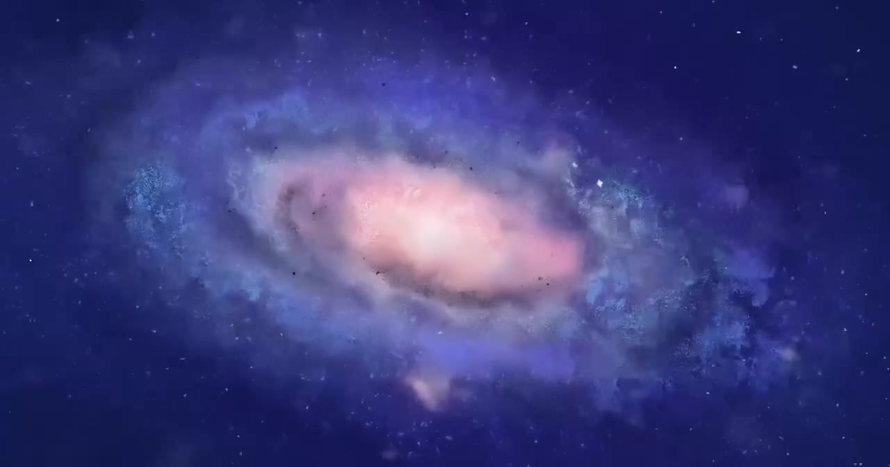 10 形形色色的植物