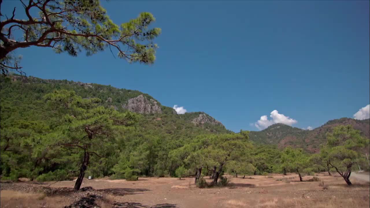 圣地 神谕之所 9