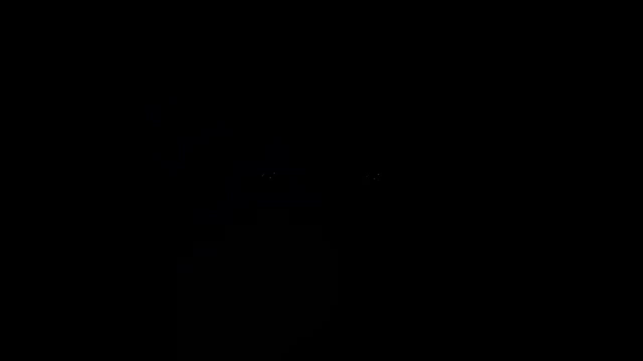 华为 P9 系列广告（2）